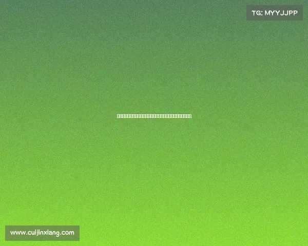 西甲球迷文化的魅力与激情：从球场到街头的独特体验与精神传承